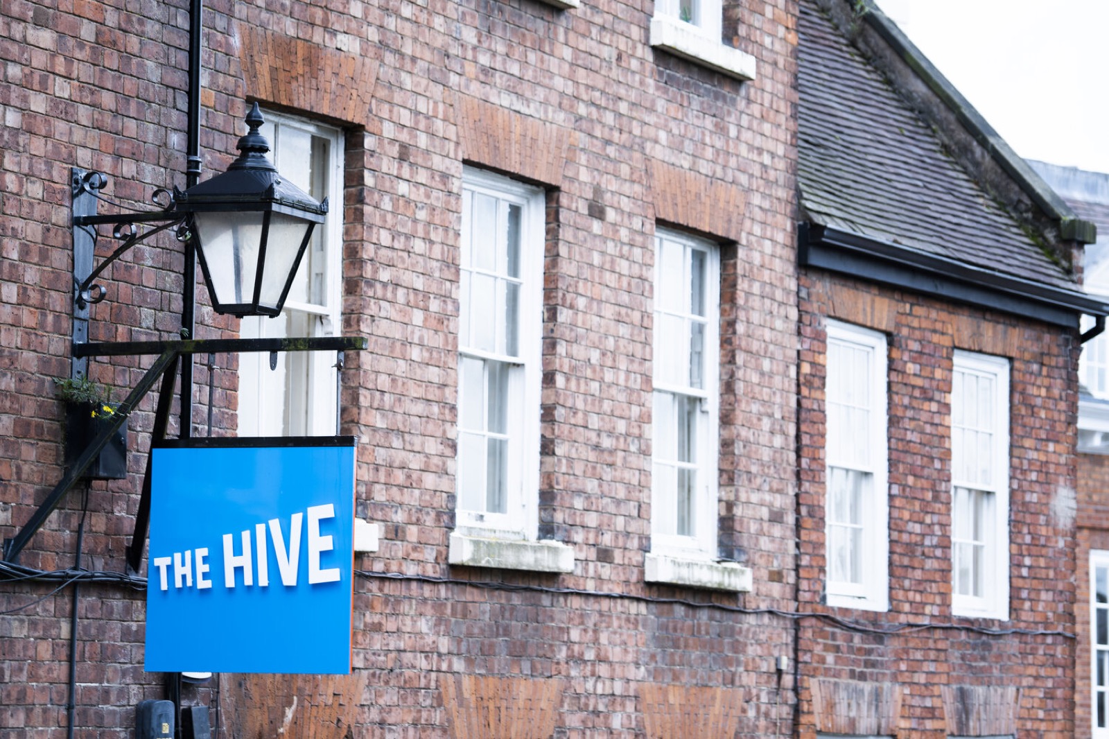 What we learnt rebranding our charity